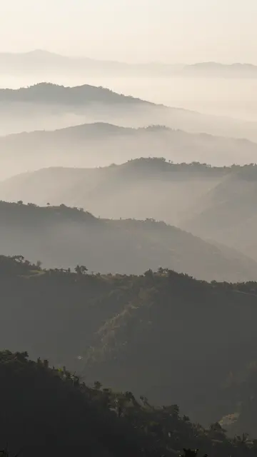Layered forested mountain peaks fade into soft golden fog during early sunrise