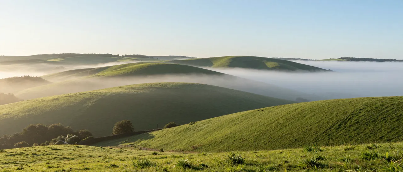 Low fog drifts over rolling green pasture hills beneath a clear pale sky at sunrise