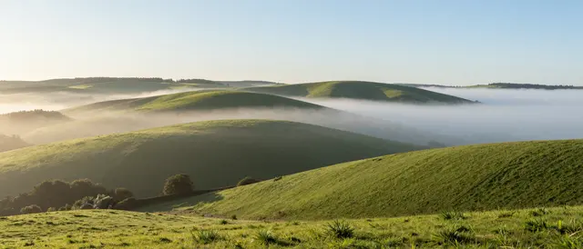 Low fog drifts over rolling green pasture hills beneath a clear pale sky at sunrise
