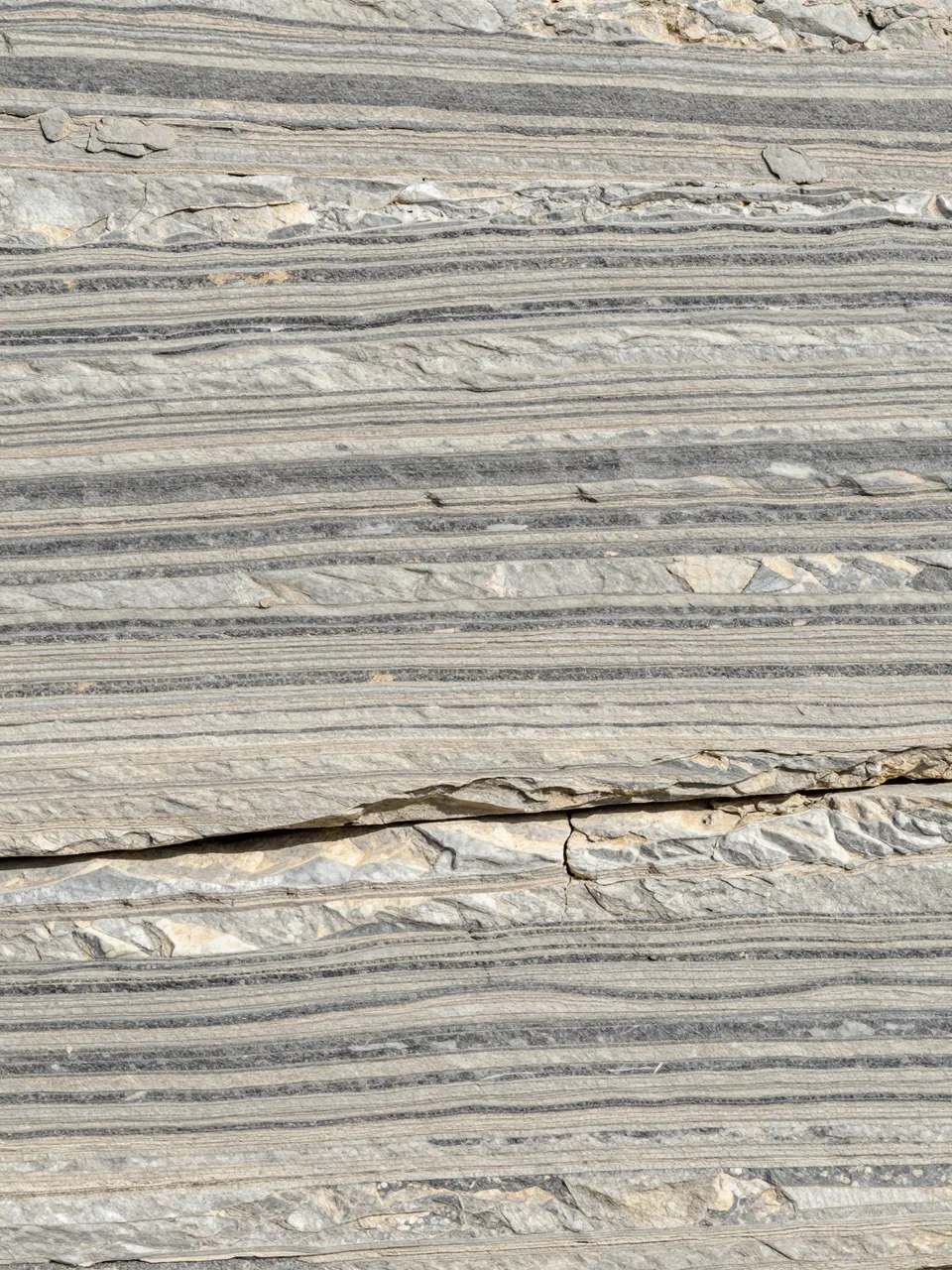 Full frame close-up of folded gneiss showing wavy alternating light and dark mineral bands