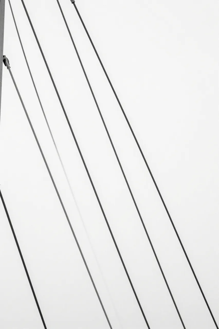 Black and white upward view of fanning footbridge steel cables against a bright overcast sky