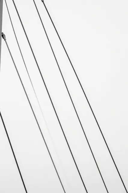 Black and white upward view of fanning footbridge steel cables against a bright overcast sky