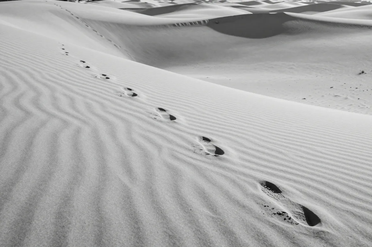 Black and white view of wind-rippled desert sand dunes with a line of footprints leading over a sharp crest