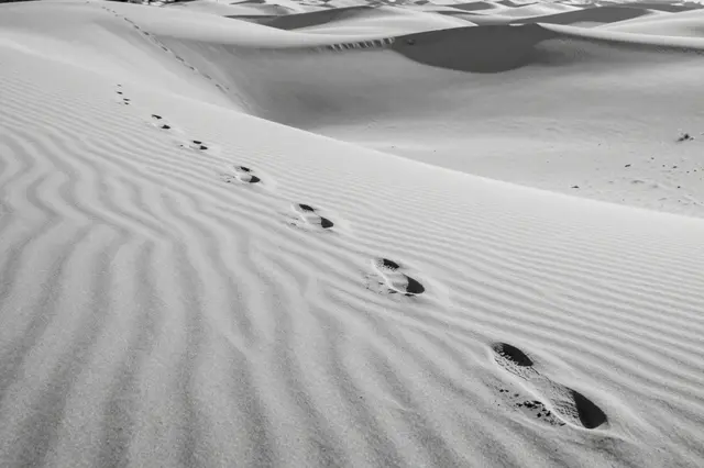 Black and white view of wind-rippled desert sand dunes with a line of footprints leading over a sharp crest