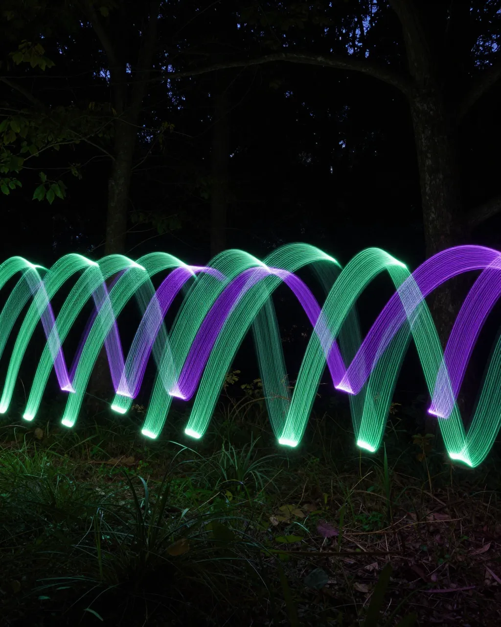 Glowing wavy green and violet light trails arc across a dark nighttime forest clearing