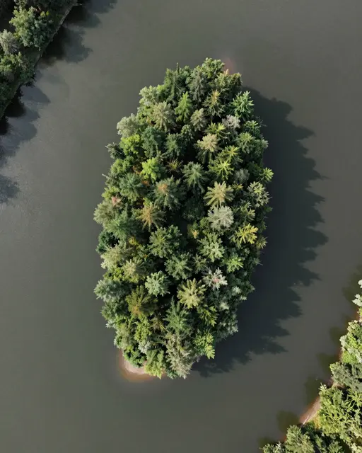 Aerial top-down view of a tree-covered small island surrounded by calm dark river water