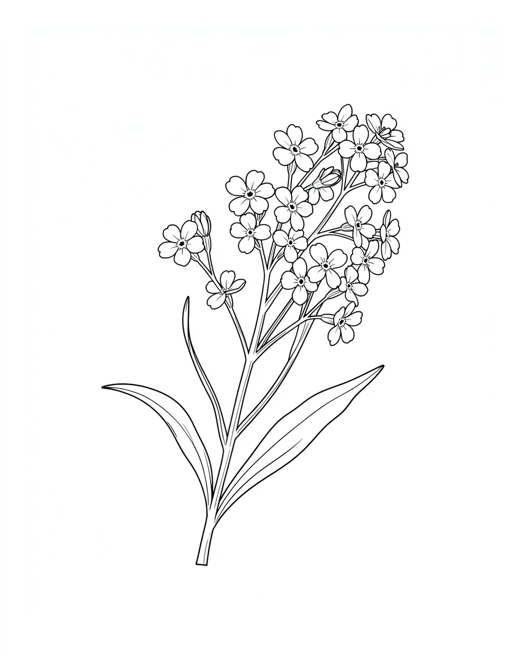 Fine line art drawing of a forget-me-not sprig with five-petal flowers on a plain white background