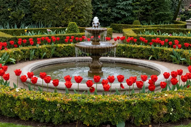 A tiered stone fountain sits centered between clipped boxwood hedges and bright red tulip beds in a formal garden.