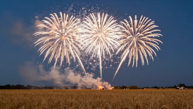 Bright golden fireworks burst across a deep blue dusk sky above a mature golden wheat field