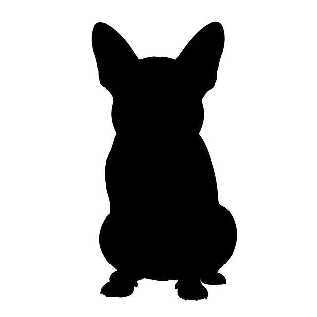 Solid black silhouette of a sitting French bulldog with bat ears on a plain white background