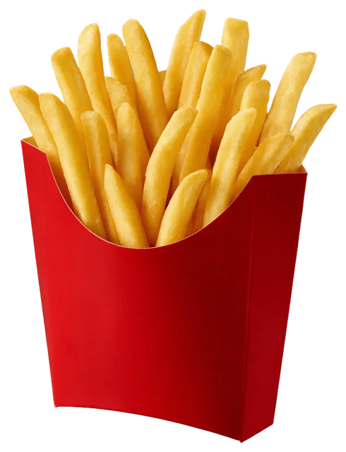 Golden french fries sit upright inside a plain unprinted red paper carton