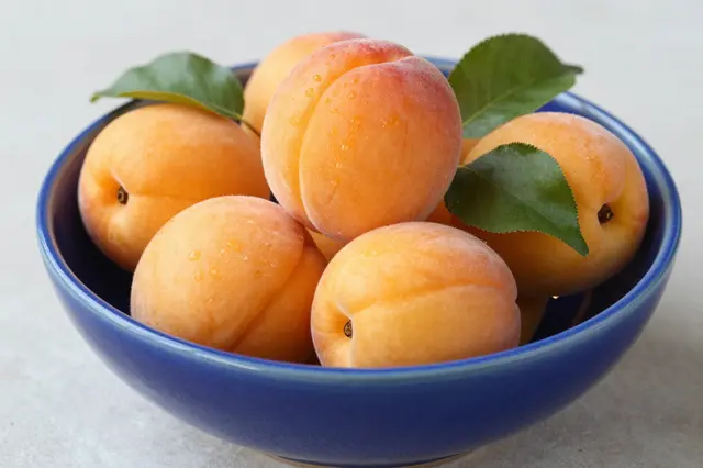 Ripe apricots with water droplets and green leaves arranged in a blue ceramic bowl on a light neutral surface