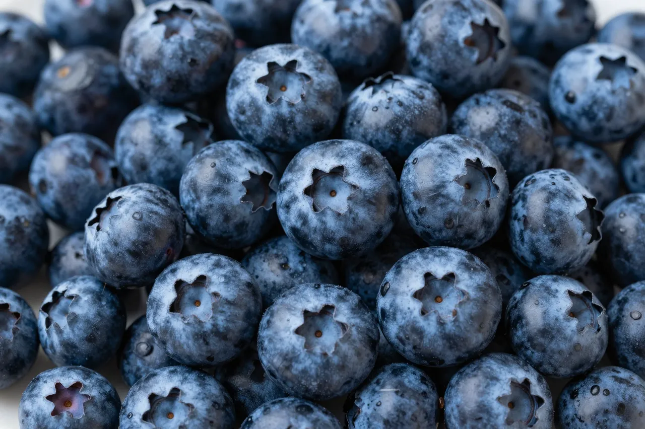 Top view close-up of dense, fresh whole blueberries dotted with tiny water droplets filling the entire frame
