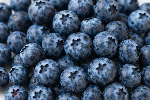 Top view close-up of dense, fresh whole blueberries dotted with tiny water droplets filling the entire frame