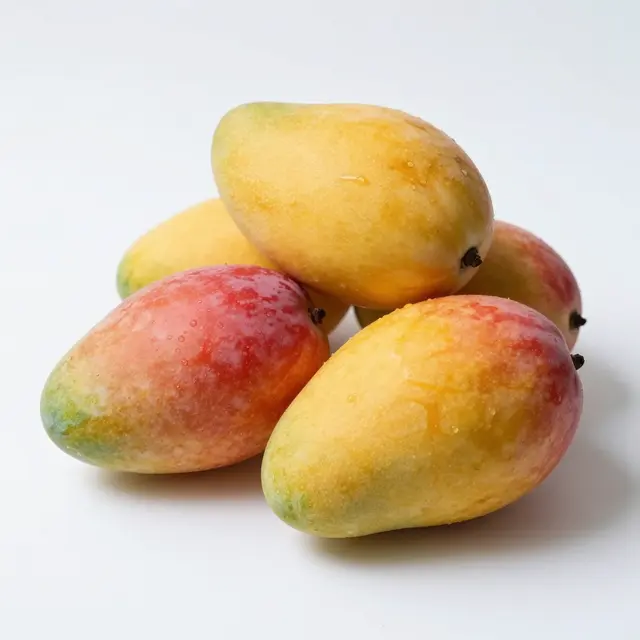 Group of ripe red and yellow mangoes with water droplets arranged on a plain white background