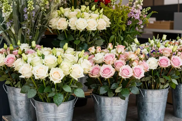 Arrangements of pale pink and white roses sit in galvanized metal buckets at a flower stall.