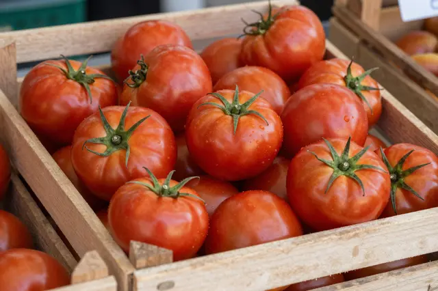 Ripe red tomatoes with green stems sit inside a light wooden market crate