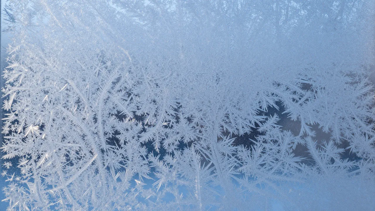 Delicate feathery frost crystals cover a window pane under soft cool blue morning light