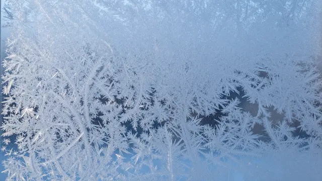 Delicate feathery frost crystals cover a window pane under soft cool blue morning light