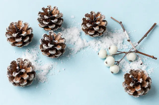 Flat lay arrangement of frosted pine cones, white berries, birch twigs and faux snow on pale blue