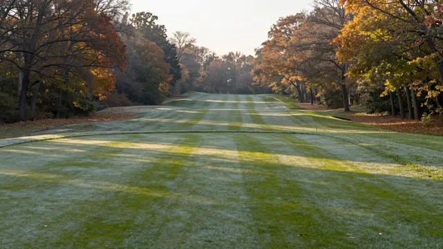 Empty frost-dusted golf fairway lined with autumn trees under soft sunrise light