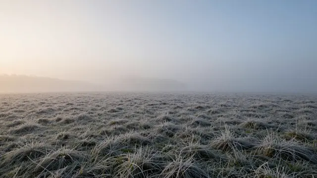 Pale sunrise light spills over a frosty grass meadow shrouded in soft low morning mist.