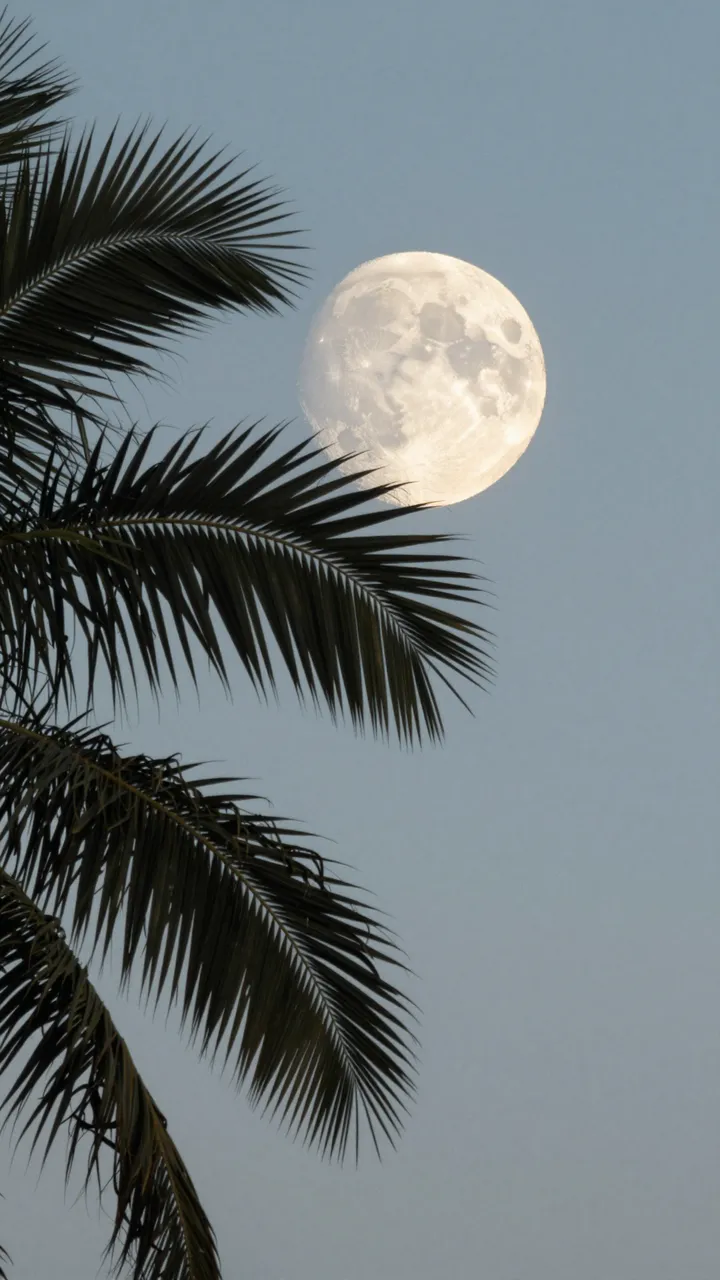 Silhouetted palm fronds frame a bright full moon against a pale dusk sky