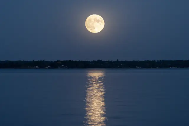 A bright full moon hangs above a calm night lake, with its shimmering reflection stretching across the water toward the
