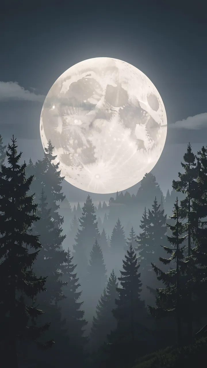 A large bright full moon hangs above misty silhouetted conifer trees in a dark night sky