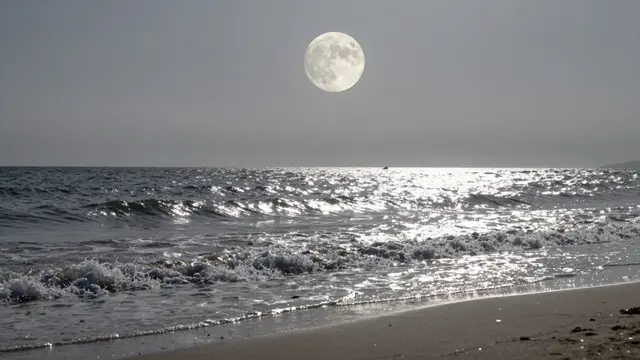 A bright full moon hangs above a sandy beach where silver moonlight glints on rolling ocean waves