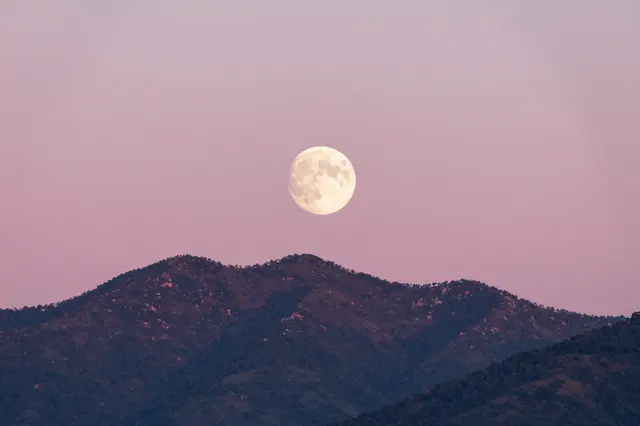 A bright full moon hangs low over forested mountain peaks against a soft pink dawn sky