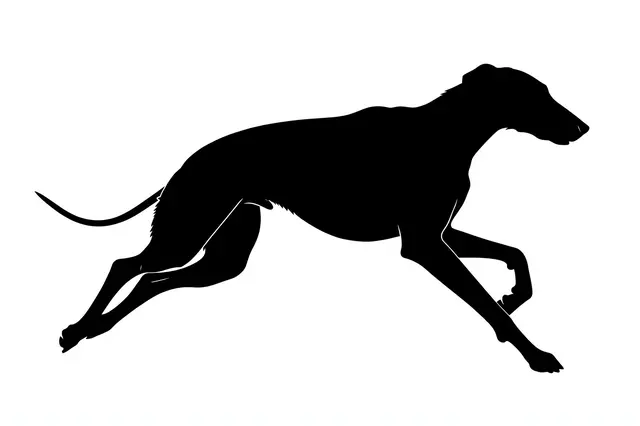 Solid black silhouette of a greyhound captured mid-gallop against a plain white background