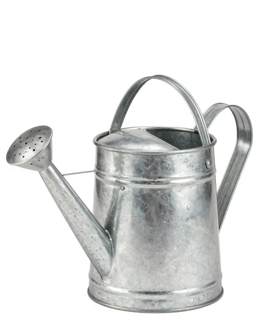 A galvanized metal watering can with a long spout stands against a plain pure white background.