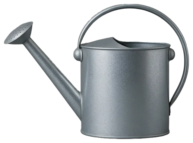 A galvanized metal watering can with a long spout and curved top handle