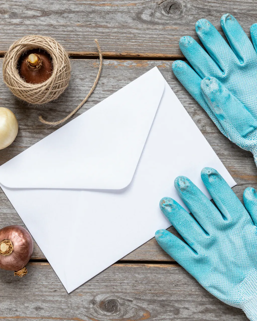 Flat lay of flower bulbs, blank paper envelopes, twine and blue gardening gloves on weathered gray wooden planks.