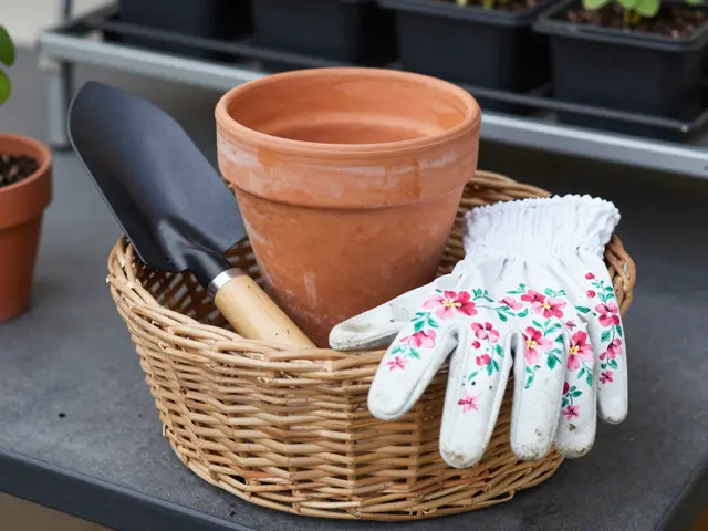 A wicker basket holding a terracotta pot, hand trowel and floral gardening gloves sits on a potting bench.