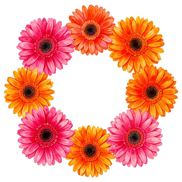 Watercolor wreath of bright pink and orange gerbera daisies surrounding an empty white center