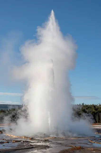 A tall geyser erupts with billowing white steam against a clear bright blue sky