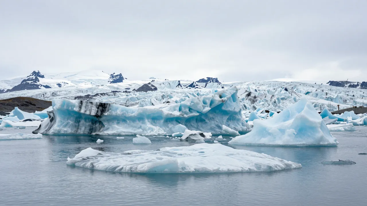 Turquoise and white icebergs float in calm glacial lagoon water under an overcast pale sky, with a distant glacier and