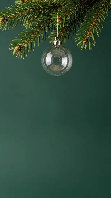 A clear glass Christmas bauble hangs from a fir branch against a solid dark green empty background.