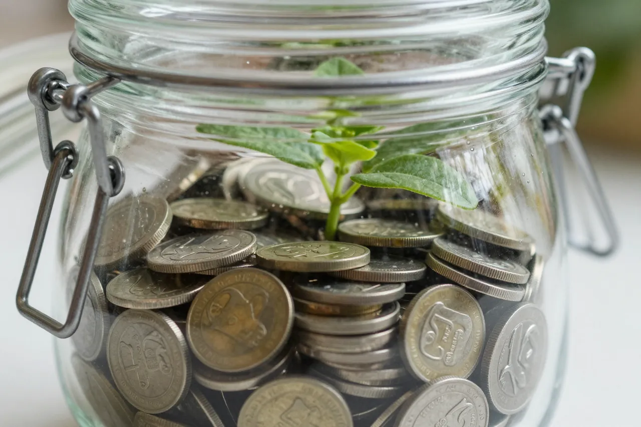 A clear clamp-lid glass jar filled with coins holds a small green seedling growing up through the currency.