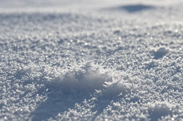 Delicate spiky ice crystals glint in bright sunlight across a sunlit snow surface
