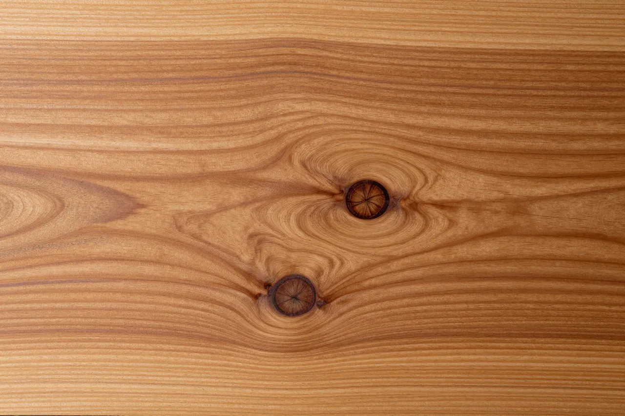 Close-up full frame of a smooth glossy burl wood panel with two distinct dark knots and flowing grain lines