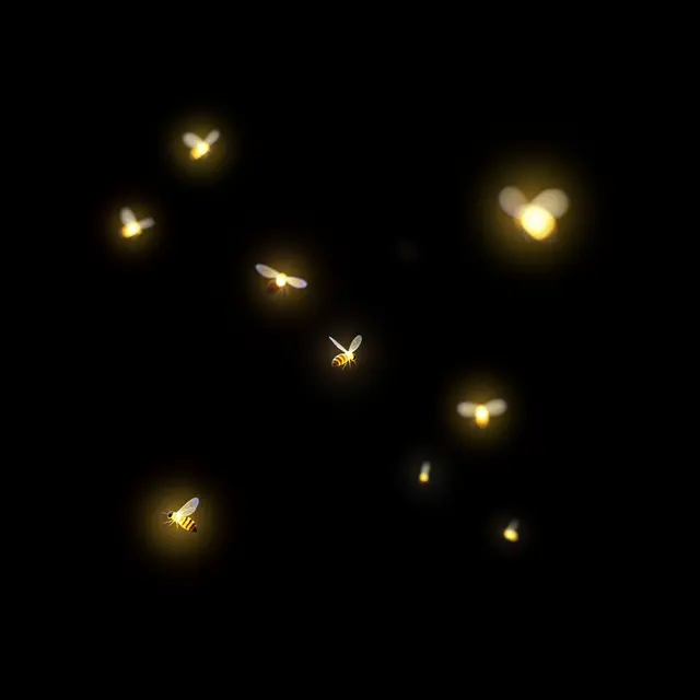 Glowing firefly lights with soft warm halos, some sharp and some blurred, float across a pure black background