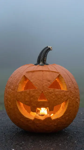 A carved glowing jack-o'-lantern sits on dark ground against a misty overcast background.