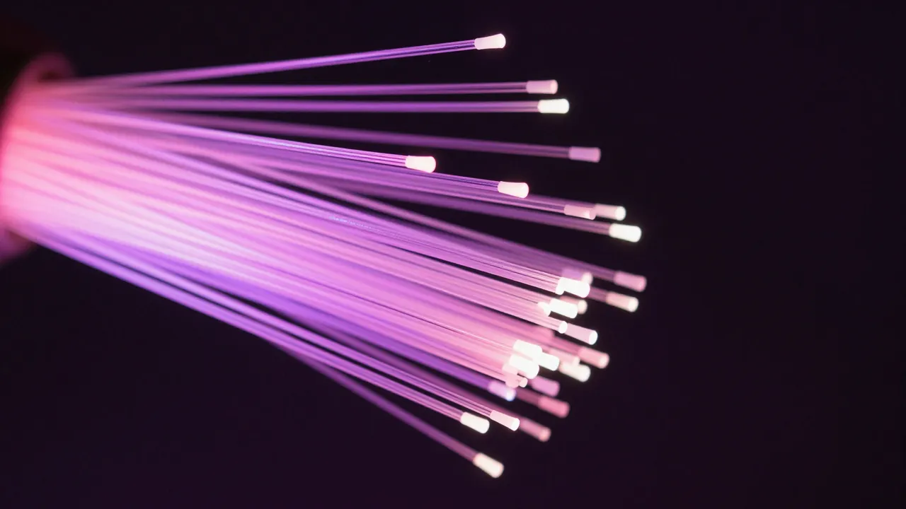 Illuminated pink and violet fiber optic strands fan out against a dark black background