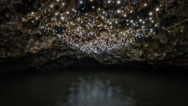 Tiny glowing points of light dot a dark rocky cave ceiling above calm still water