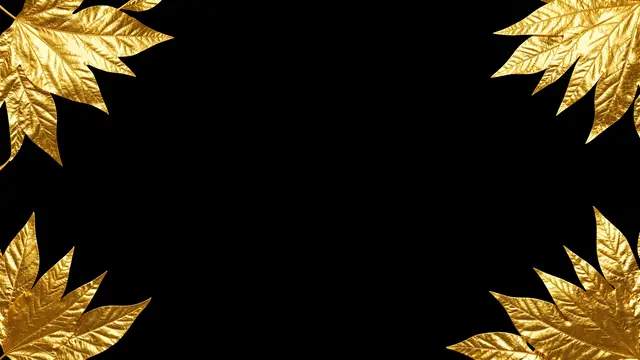 Shiny metallic gold foil leaves frame the four corners of a solid black blank background