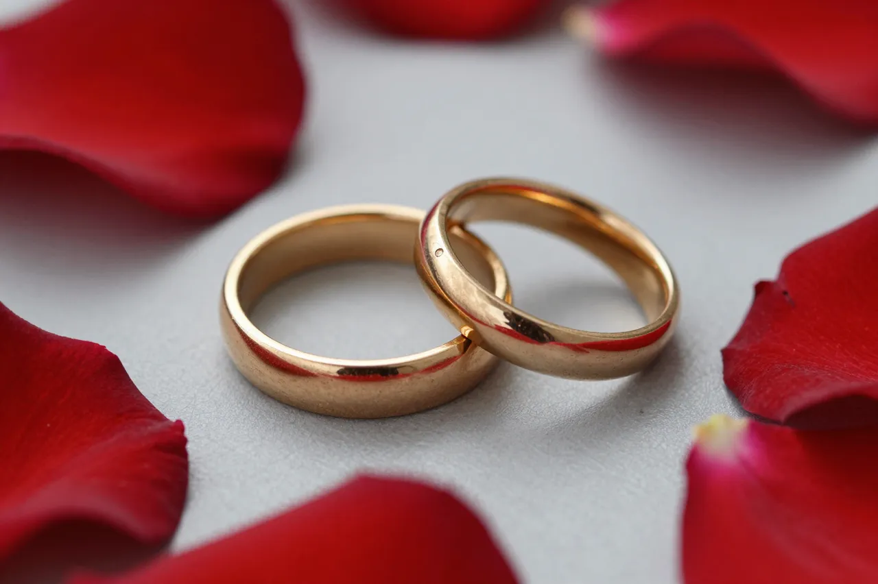 Two interlocked gold wedding rings rest surrounded by scattered red rose petals on a pale gray surface