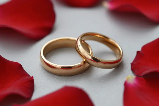 Two interlocked gold wedding rings rest surrounded by scattered red rose petals on a pale gray surface